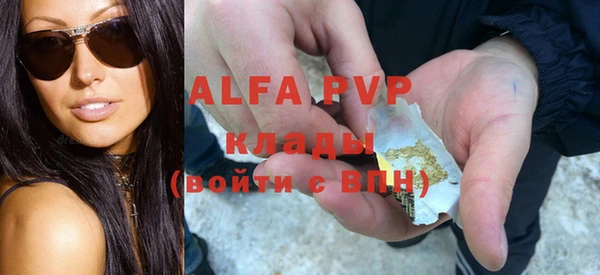 гидра Гусиноозёрск