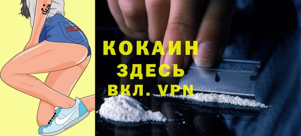гидра Гусиноозёрск