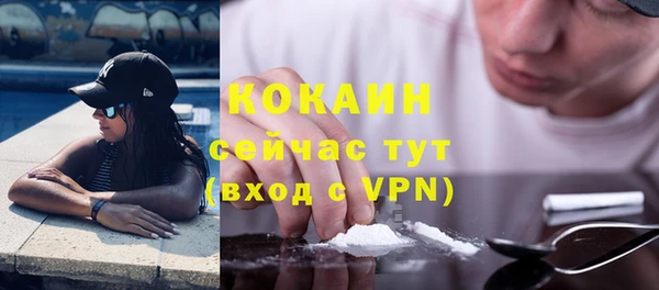 гидра Гусиноозёрск