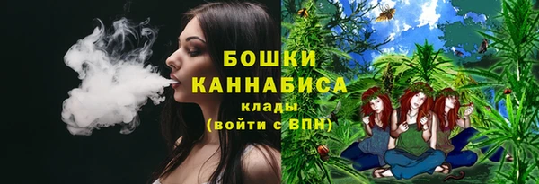 ALPHA-PVP Гусь-Хрустальный