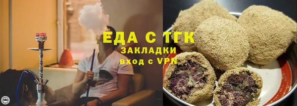 гидра Гусиноозёрск